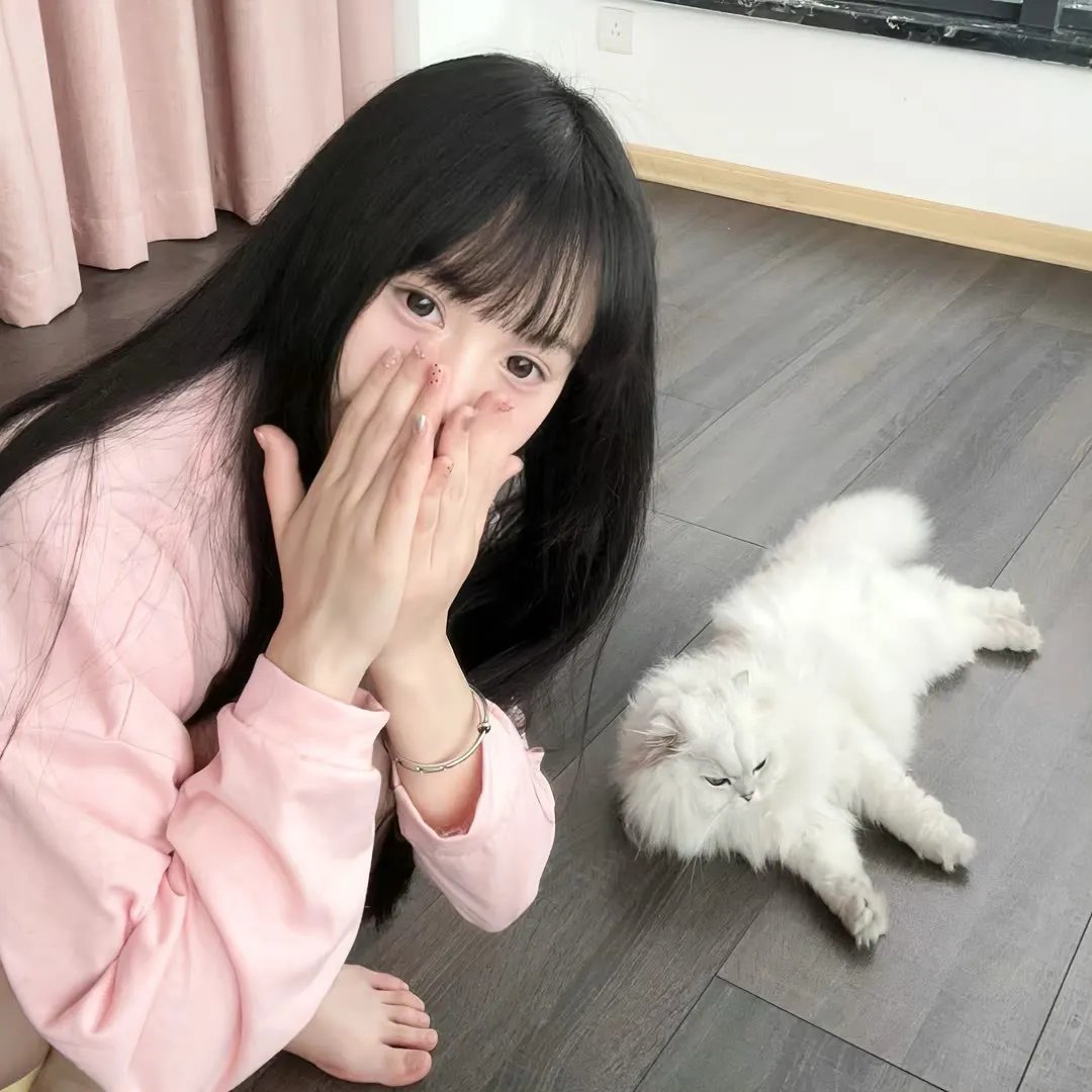 纽约孤儿