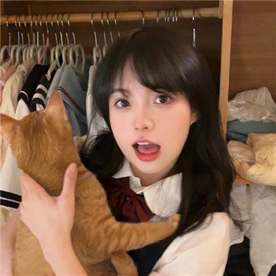 行动日